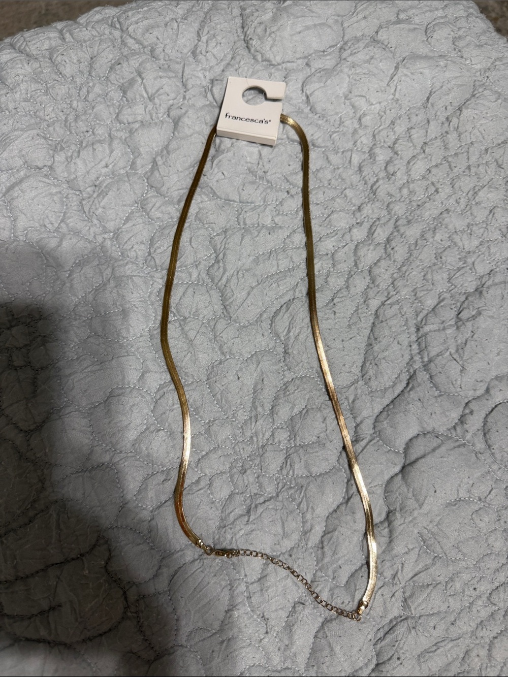 NWT Francesca's Collections Flat Herringbone Necklace